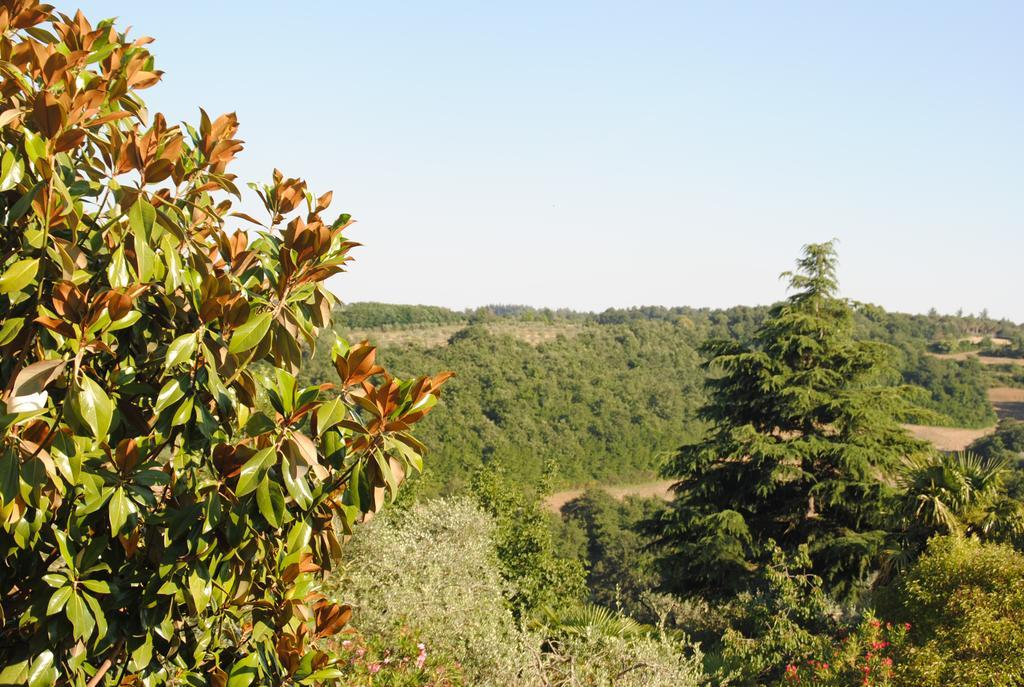 Il Gelsomino Del Perugino Villa Citta della Pieve Luaran gambar